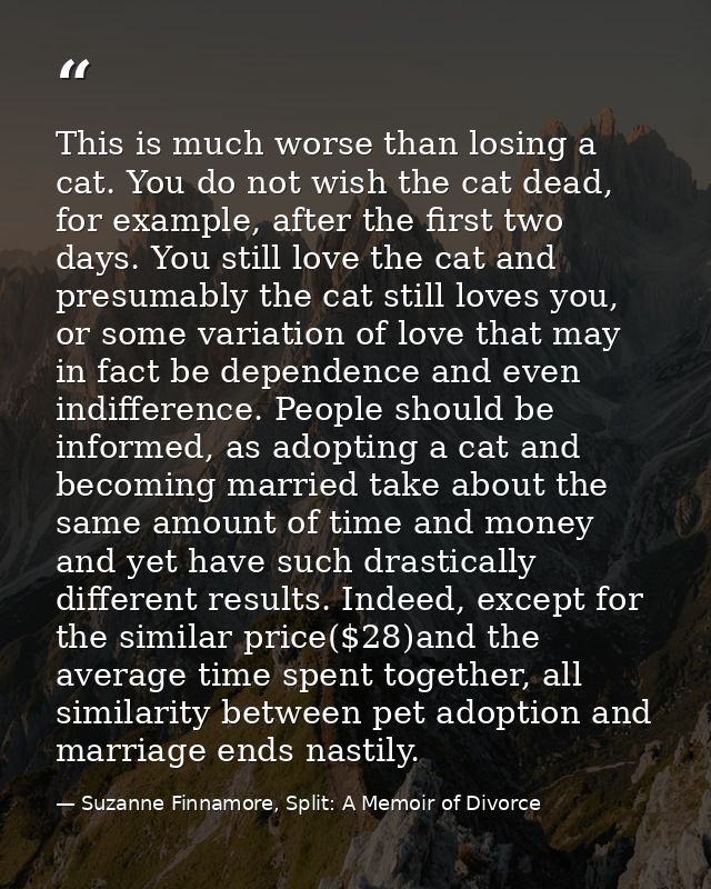 This is much worse than losing a cat. You do not wish the cat dead, for example, after the first two days. You still lov — Suzanne Finnamore, Split: A Memoir of Divorce