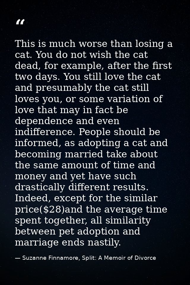 This is much worse than losing a cat. You do not wish the cat dead, for example, after the first two days. You still lov — Suzanne Finnamore, Split: A Memoir of Divorce