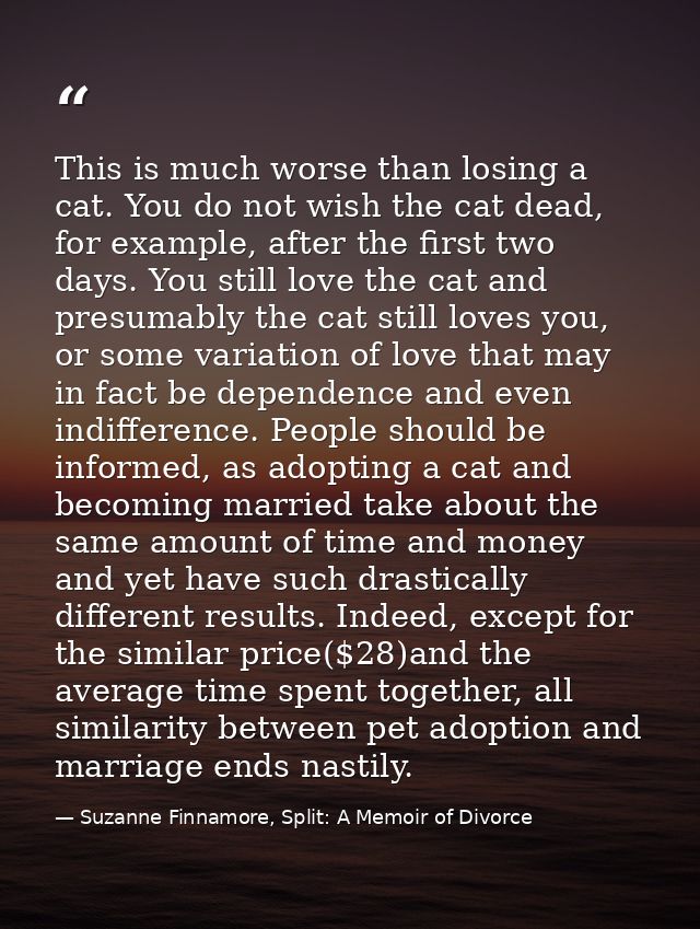 This is much worse than losing a cat. You do not wish the cat dead, for example, after the first two days. You still lov — Suzanne Finnamore, Split: A Memoir of Divorce