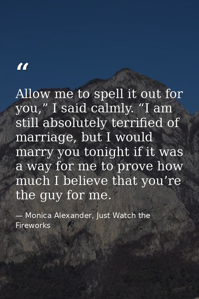 Allow me to spell it out for you,” I said calmly. “I am still absolutely terrified of marriage, but I would marry you to — Monica Alexander, Just Watch the Fireworks
