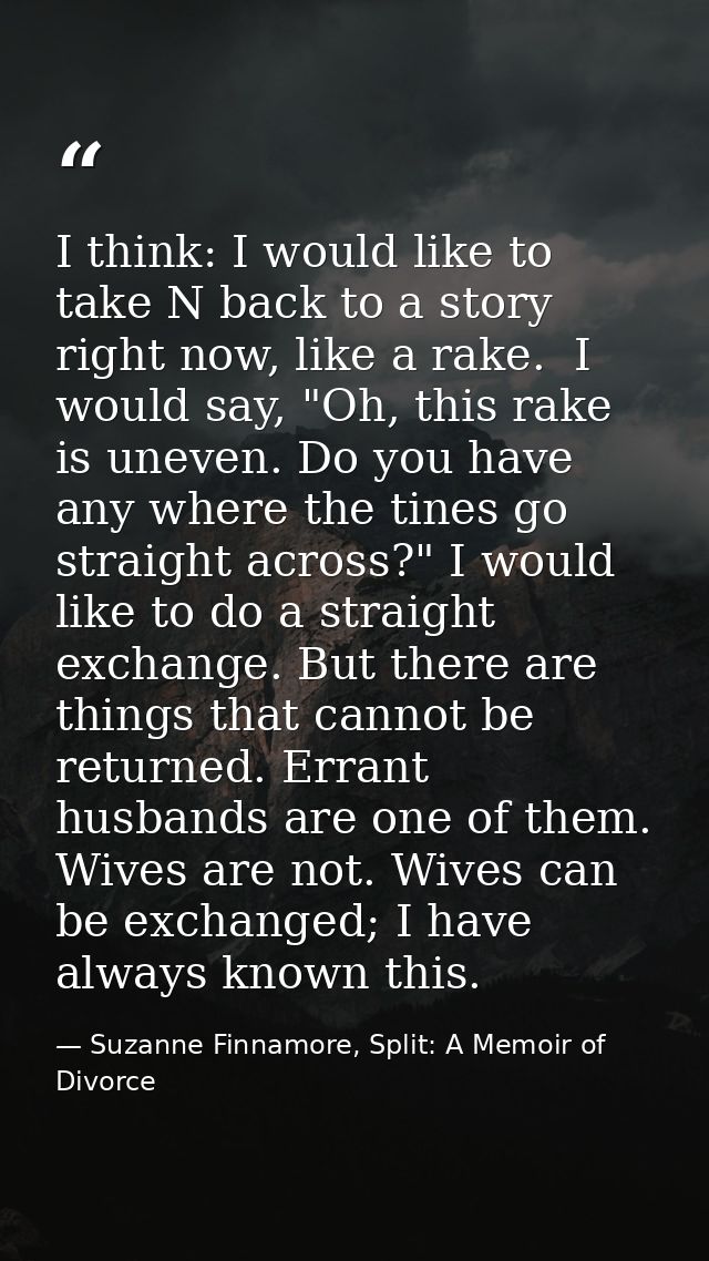 I think: I would like to take N back to a story right now, like a rake.  I would say, "Oh, this rake is uneven. Do you h — Suzanne Finnamore, Split: A Memoir of Divorce