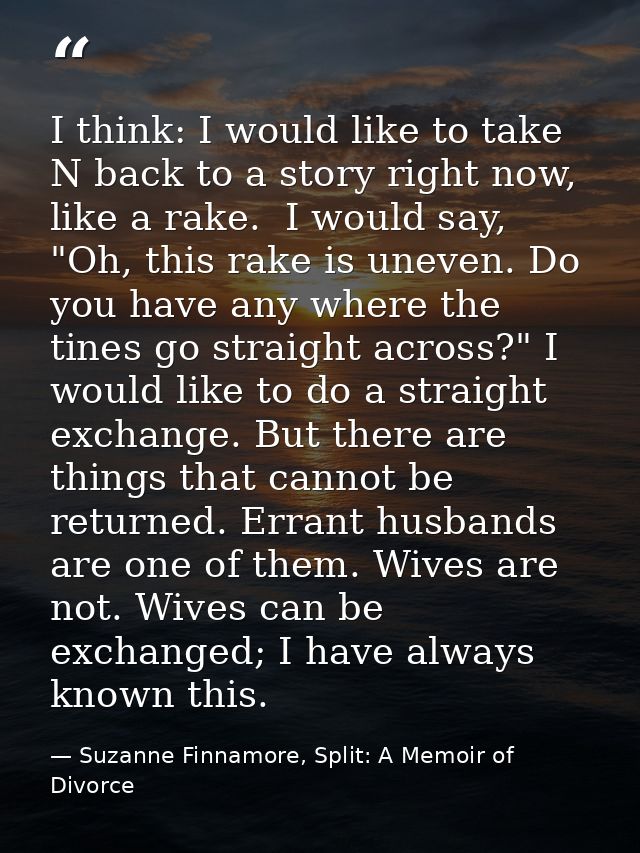 I think: I would like to take N back to a story right now, like a rake.  I would say, "Oh, this rake is uneven. Do you h — Suzanne Finnamore, Split: A Memoir of Divorce