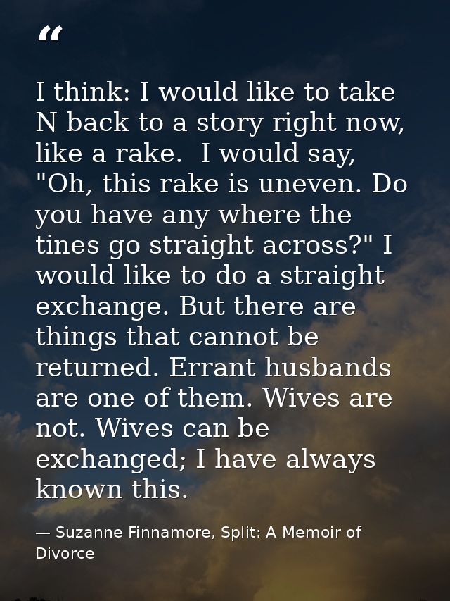 I think: I would like to take N back to a story right now, like a rake.  I would say, "Oh, this rake is uneven. Do you h — Suzanne Finnamore, Split: A Memoir of Divorce