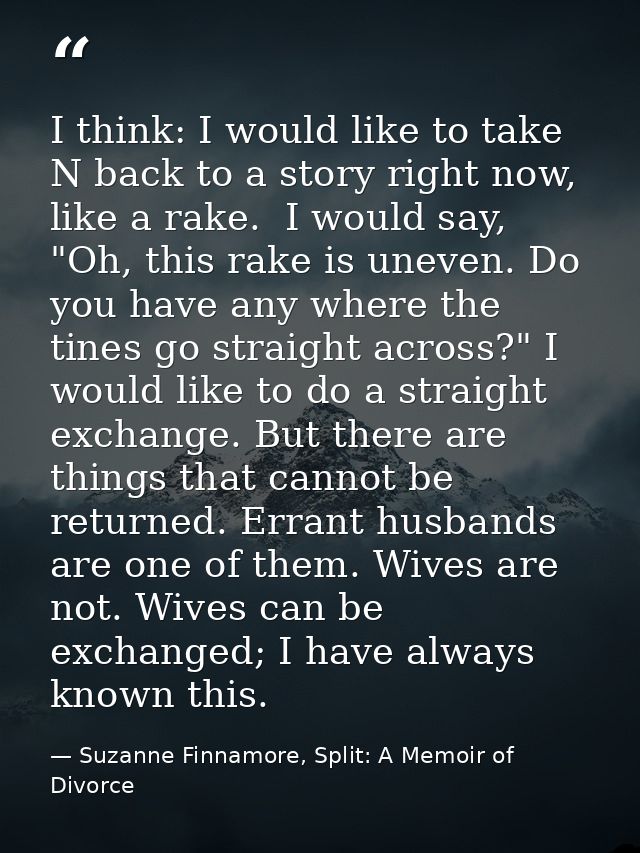 I think: I would like to take N back to a story right now, like a rake.  I would say, "Oh, this rake is uneven. Do you h — Suzanne Finnamore, Split: A Memoir of Divorce