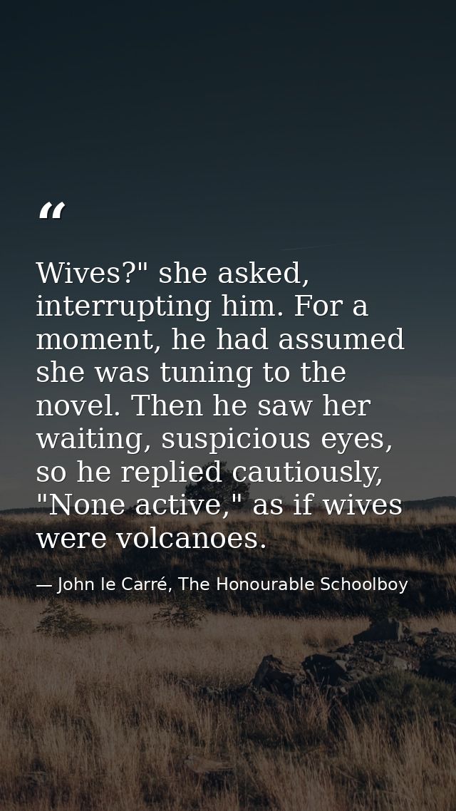 Wives?" she asked, interrupting him. For a moment, he had assumed she was tuning to the novel. Then he saw her waiting,  — John le Carré, The Honourable Schoolboy