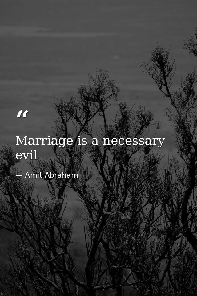 Marriage is a necessary evil — Amit Abraham