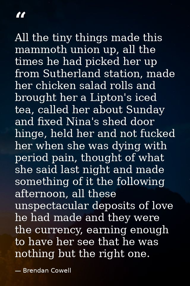 All the tiny things made this mammoth union up, all the times he had picked her up from Sutherland station, made her chi — Brendan Cowell