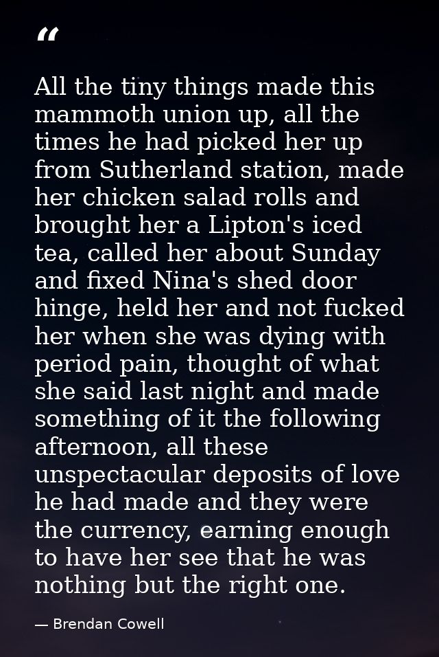 All the tiny things made this mammoth union up, all the times he had picked her up from Sutherland station, made her chi — Brendan Cowell