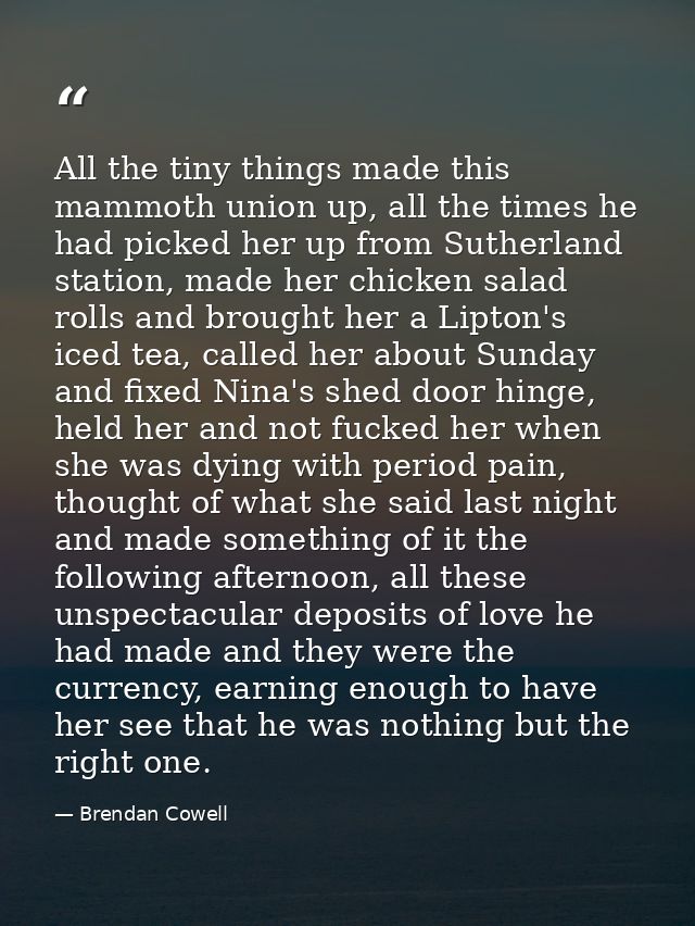 All the tiny things made this mammoth union up, all the times he had picked her up from Sutherland station, made her chi — Brendan Cowell