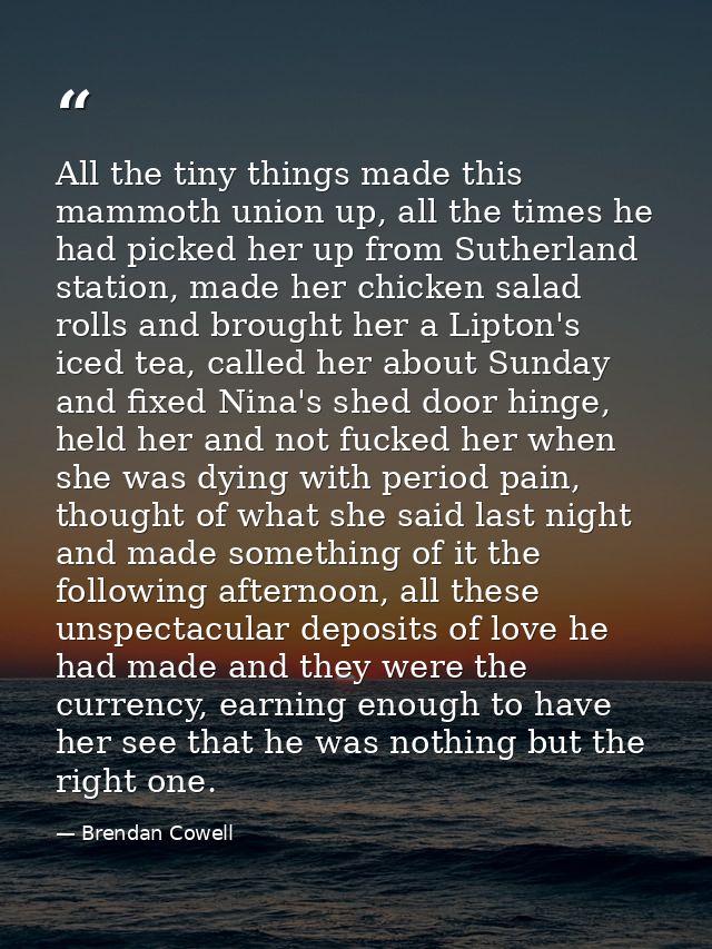 All the tiny things made this mammoth union up, all the times he had picked her up from Sutherland station, made her chi — Brendan Cowell
