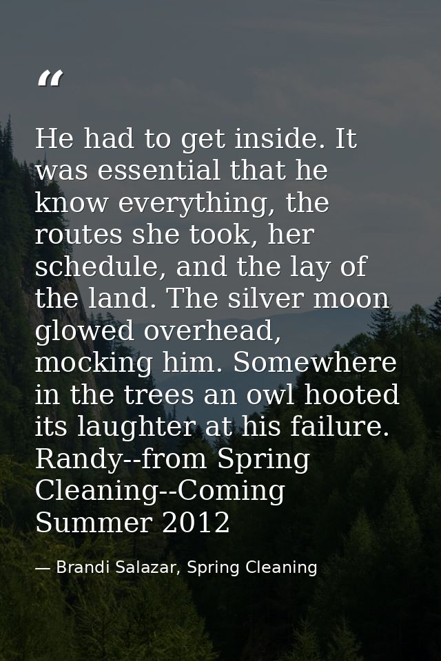 He had to get inside. It was essential that he know everything, the routes she took, her schedule, and the lay of the la — Brandi Salazar, Spring Cleaning