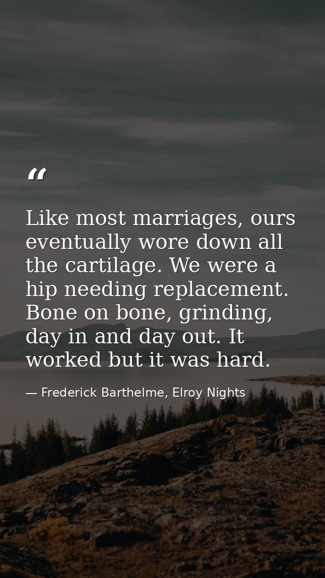 Like most marriages, ours eventually wore down all the cartilage. We were a hip needing replacement. Bone on bone, grind — Frederick Barthelme, Elroy Nights