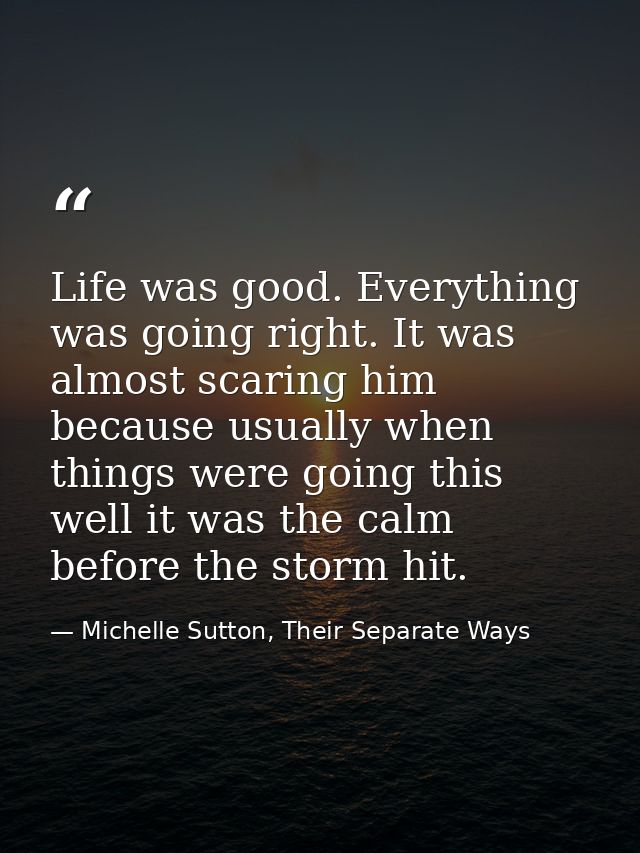 Life was good. Everything was going right. It was almost scaring him because usually when things were going this well it — Michelle Sutton, Their Separate Ways