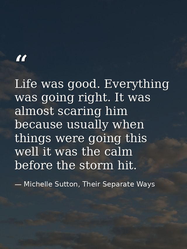 Life was good. Everything was going right. It was almost scaring him because usually when things were going this well it — Michelle Sutton, Their Separate Ways