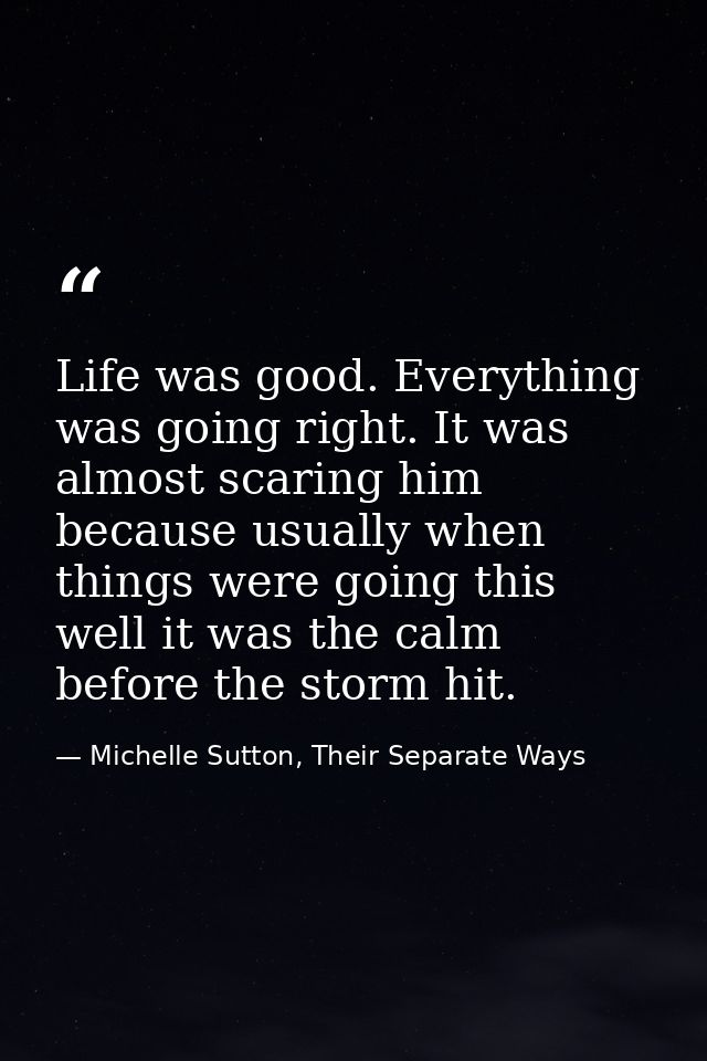 Life was good. Everything was going right. It was almost scaring him because usually when things were going this well it — Michelle Sutton, Their Separate Ways