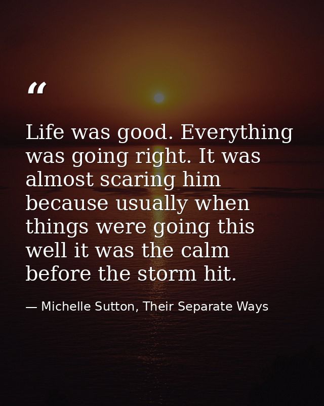 Life was good. Everything was going right. It was almost scaring him because usually when things were going this well it — Michelle Sutton, Their Separate Ways