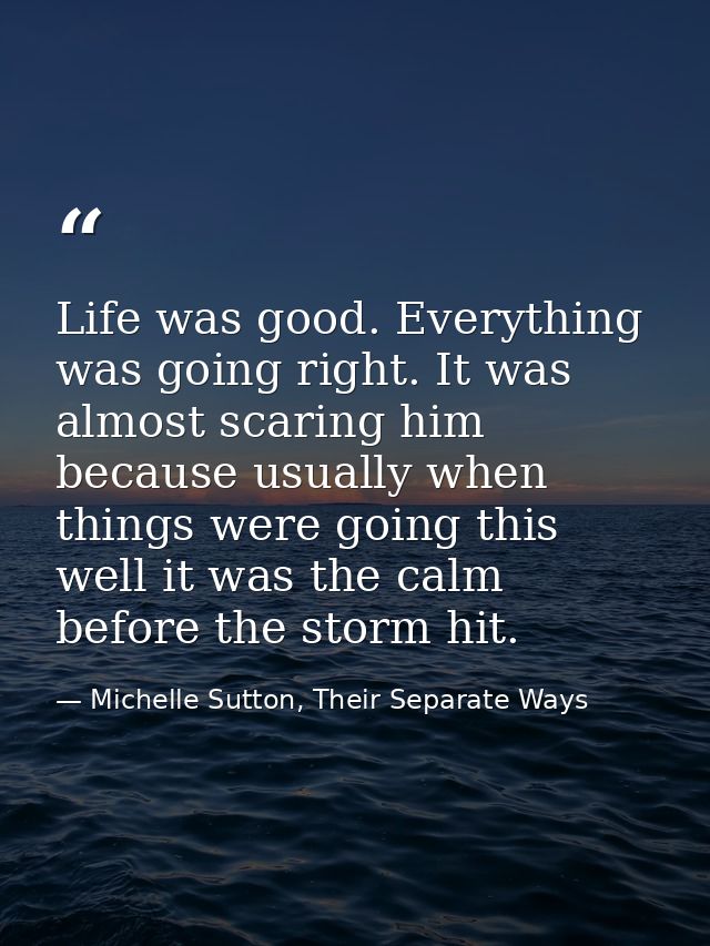 Life was good. Everything was going right. It was almost scaring him because usually when things were going this well it — Michelle Sutton, Their Separate Ways
