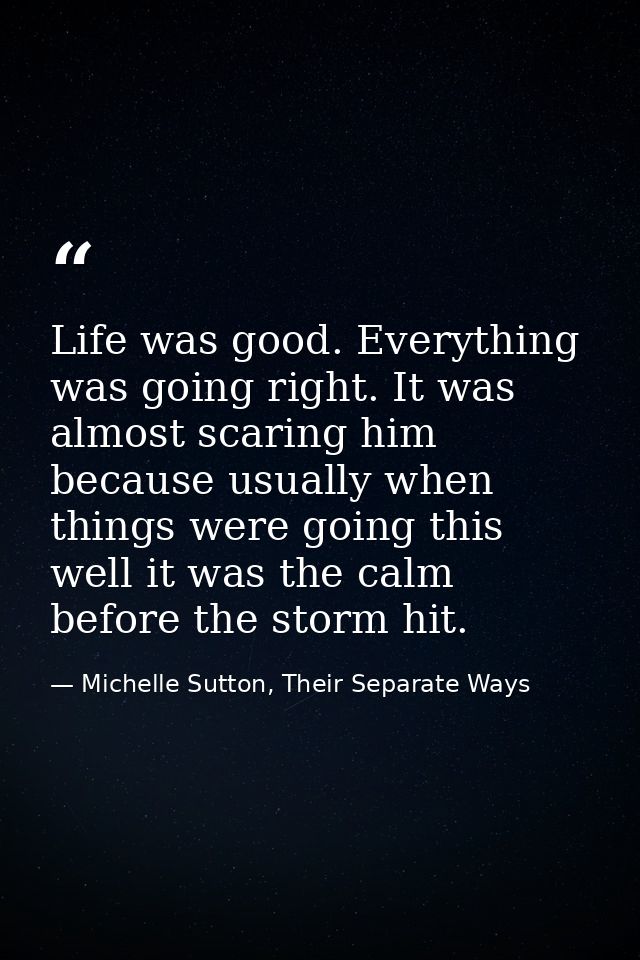 Life was good. Everything was going right. It was almost scaring him because usually when things were going this well it — Michelle Sutton, Their Separate Ways