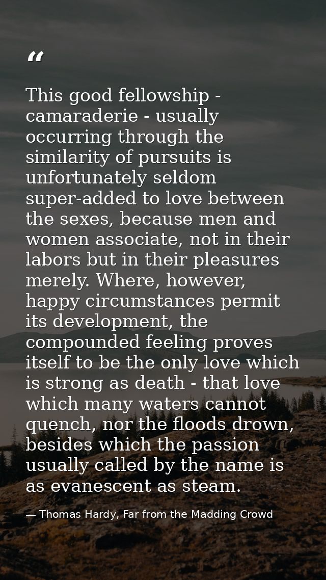 This good fellowship - camaraderie - usually occurring through the similarity of pursuits is unfortunately seldom super- — Thomas Hardy, Far from the Madding Crowd