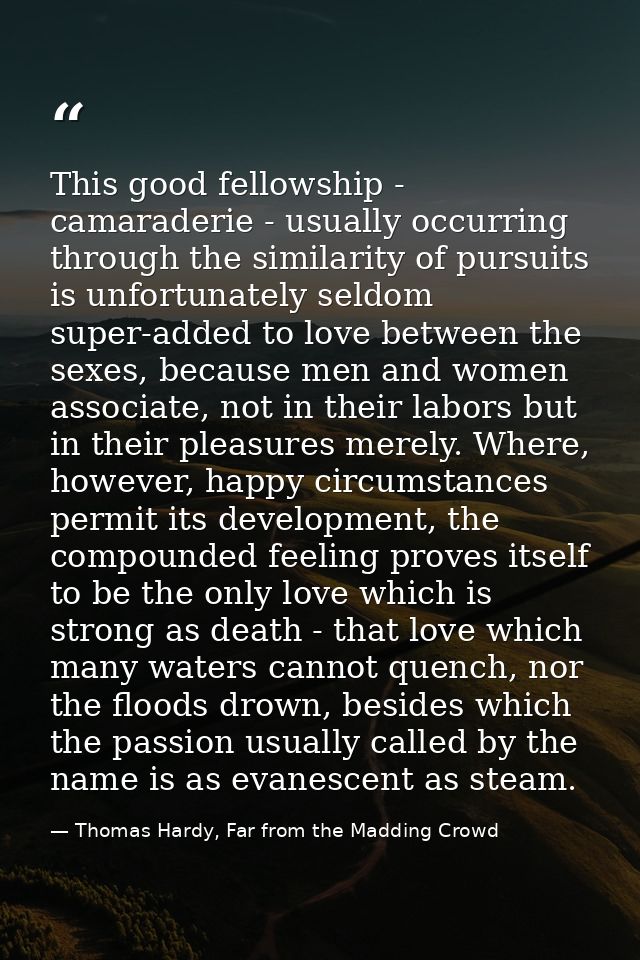 This good fellowship - camaraderie - usually occurring through the similarity of pursuits is unfortunately seldom super- — Thomas Hardy, Far from the Madding Crowd