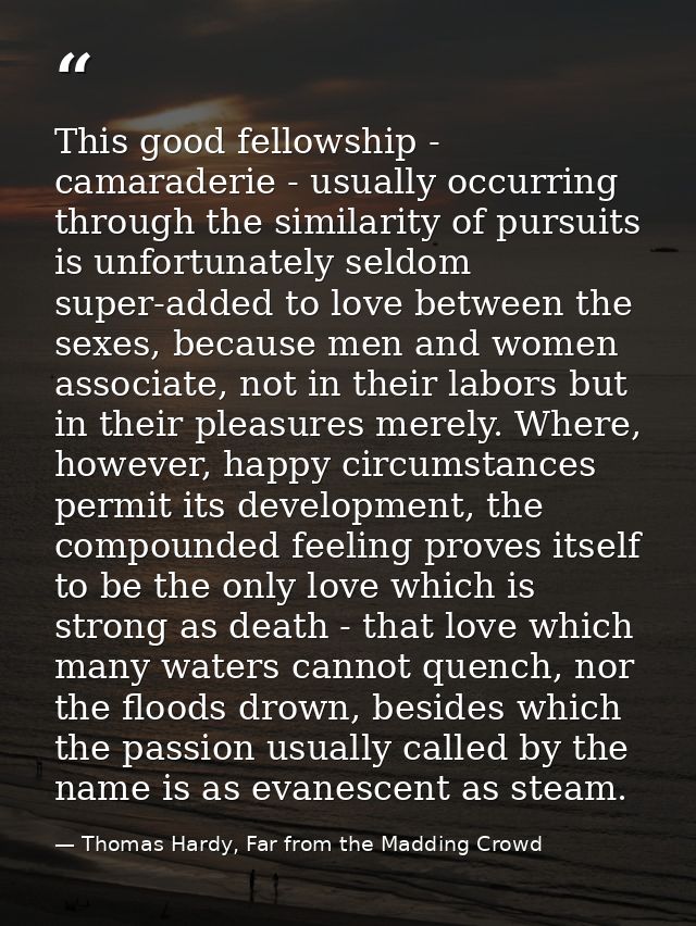 This good fellowship - camaraderie - usually occurring through the similarity of pursuits is unfortunately seldom super- — Thomas Hardy, Far from the Madding Crowd