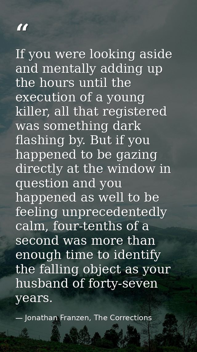 If you were looking aside and mentally adding up the hours until the execution of a young killer, all that registered wa — Jonathan Franzen, The Corrections