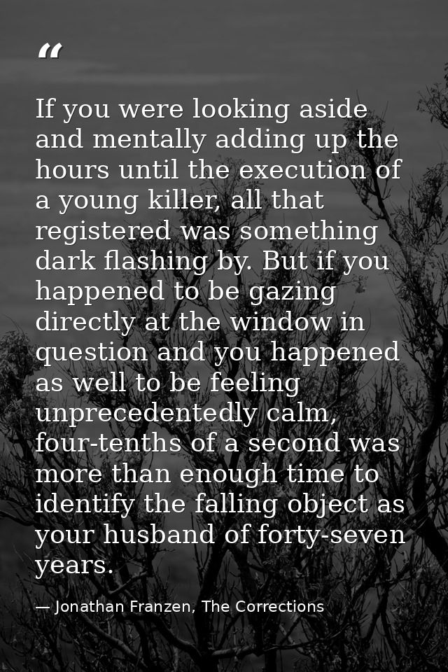If you were looking aside and mentally adding up the hours until the execution of a young killer, all that registered wa — Jonathan Franzen, The Corrections