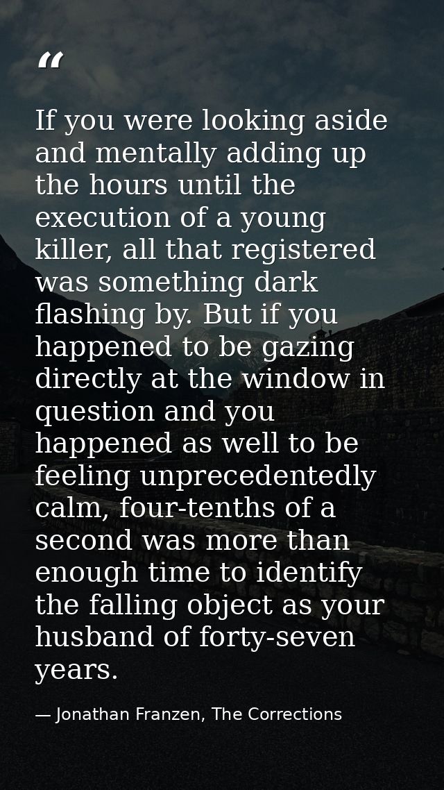 If you were looking aside and mentally adding up the hours until the execution of a young killer, all that registered wa — Jonathan Franzen, The Corrections