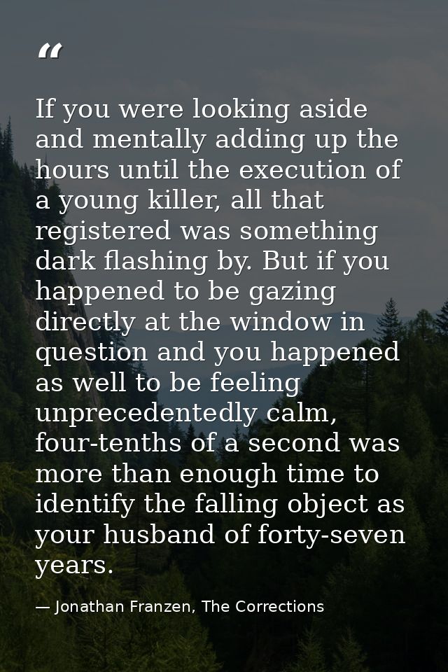 If you were looking aside and mentally adding up the hours until the execution of a young killer, all that registered wa — Jonathan Franzen, The Corrections
