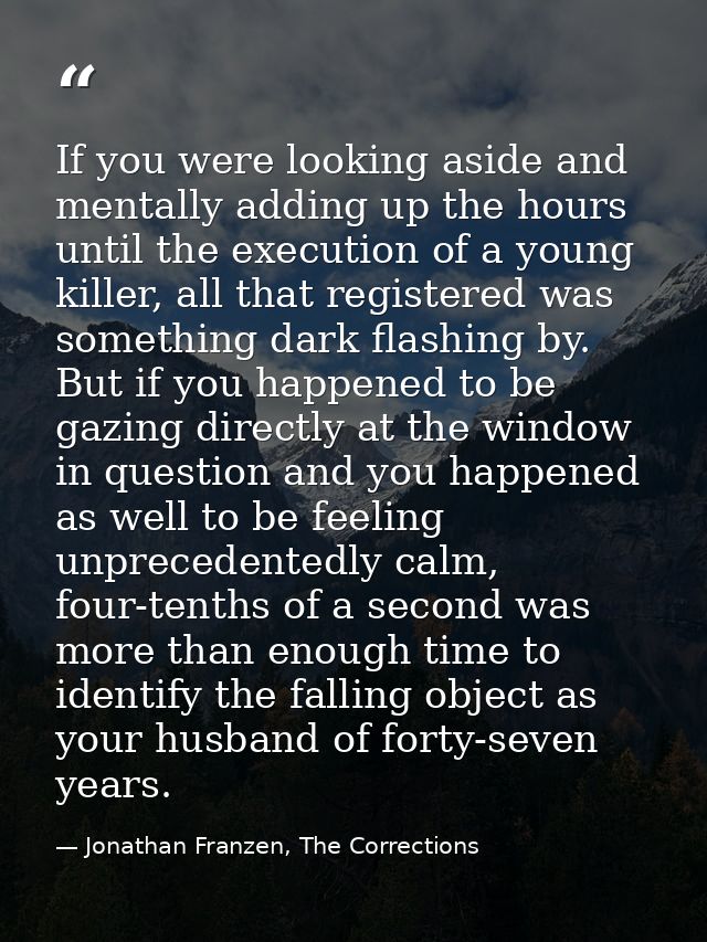If you were looking aside and mentally adding up the hours until the execution of a young killer, all that registered wa — Jonathan Franzen, The Corrections