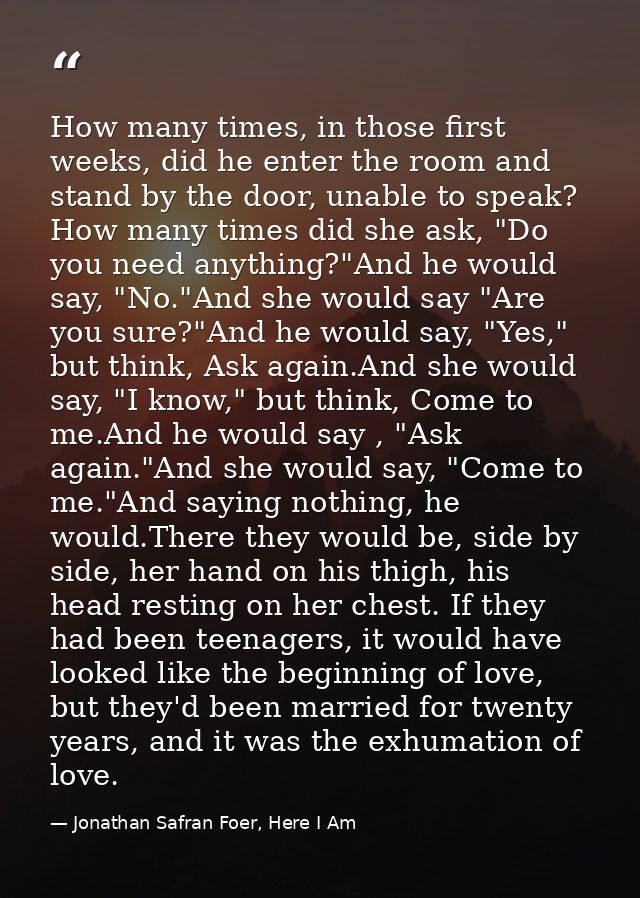 How many times, in those first weeks, did he enter the room and stand by the door, unable to speak? How many times did s — Jonathan Safran Foer, Here I Am
