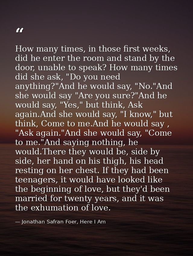 How many times, in those first weeks, did he enter the room and stand by the door, unable to speak? How many times did s — Jonathan Safran Foer, Here I Am