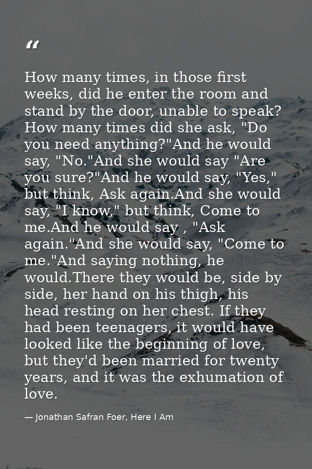 How many times, in those first weeks, did he enter the room and stand by the door, unable to speak? How many times did s — Jonathan Safran Foer, Here I Am