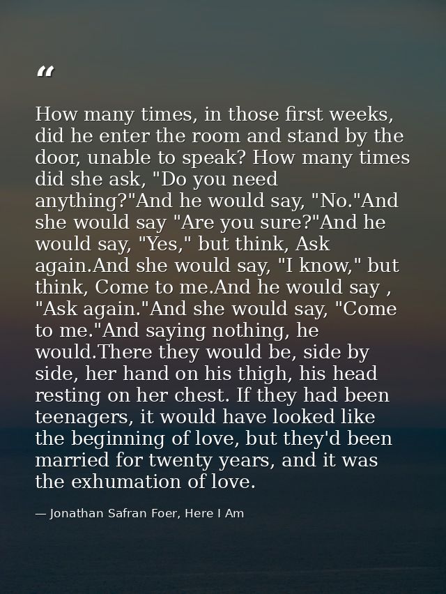 How many times, in those first weeks, did he enter the room and stand by the door, unable to speak? How many times did s — Jonathan Safran Foer, Here I Am