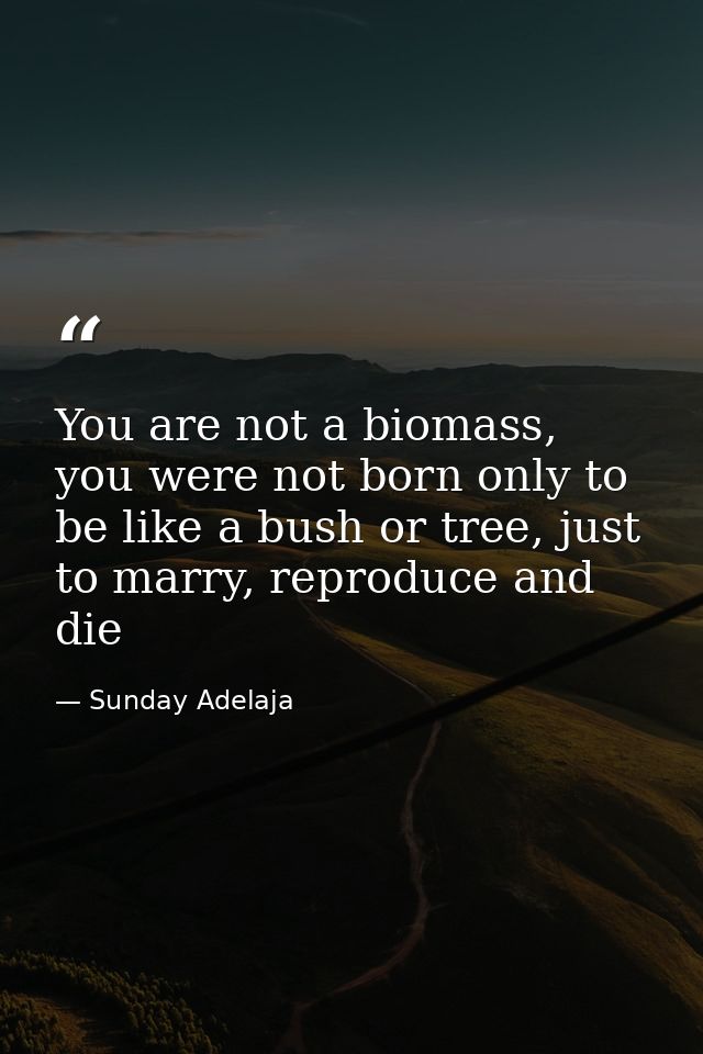 You are not a biomass, you were not born only to be like a bush or tree, just to marry, reproduce and die — Sunday Adelaja