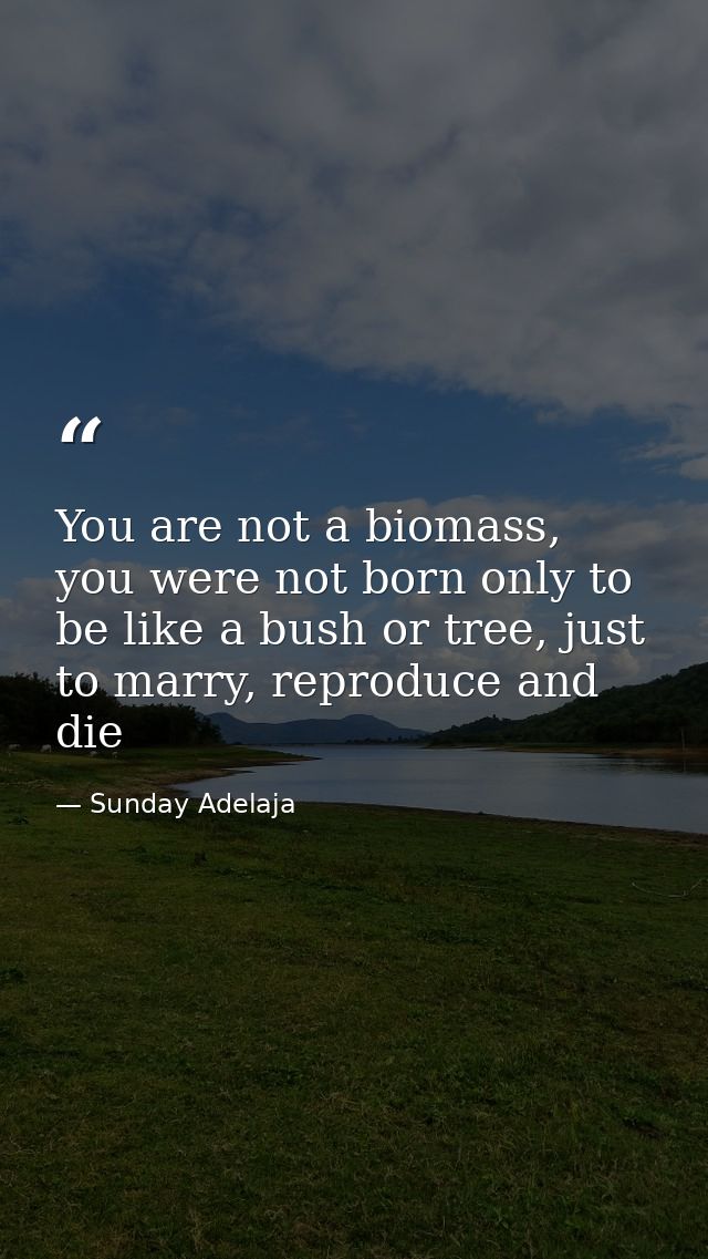 You are not a biomass, you were not born only to be like a bush or tree, just to marry, reproduce and die — Sunday Adelaja