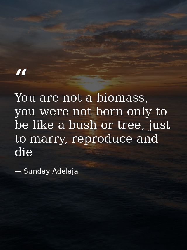 You are not a biomass, you were not born only to be like a bush or tree, just to marry, reproduce and die — Sunday Adelaja
