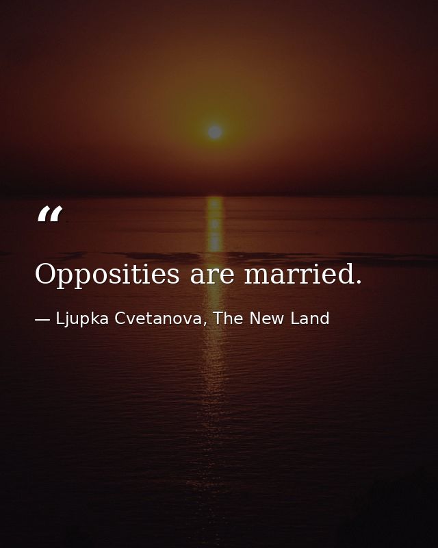 Opposities are married. — Ljupka Cvetanova, The New Land