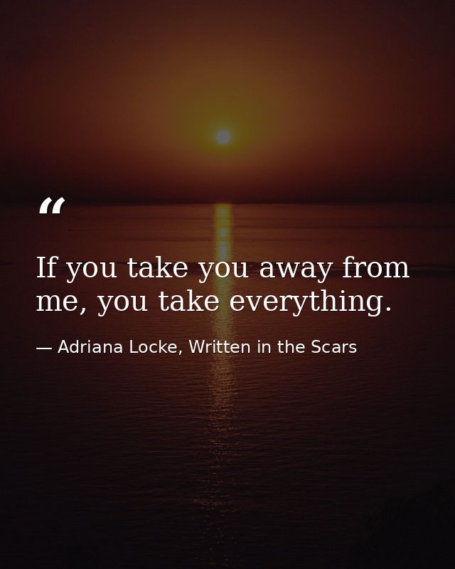 If you take you away from me, you take everything. — Adriana Locke, Written in the Scars