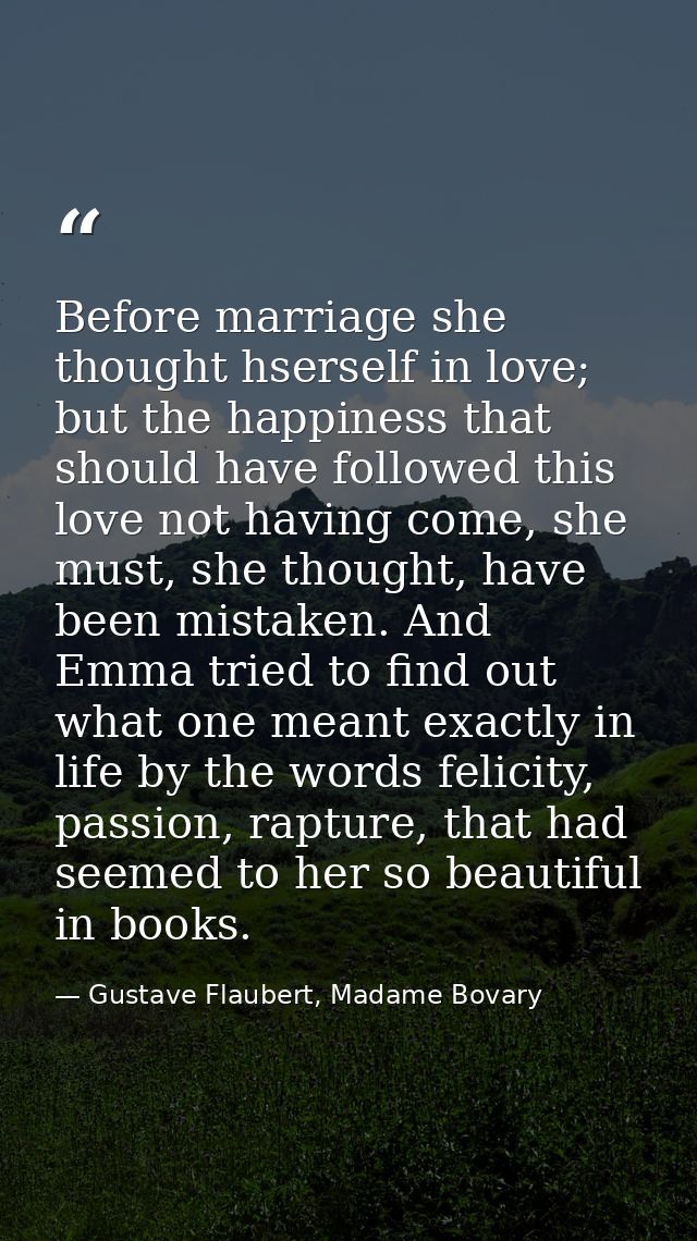 Before marriage she thought hserself in love; but the happiness that should have followed this love not having come, she — Gustave Flaubert, Madame Bovary