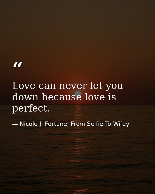 Love can never let you down because love is perfect. — Nicole J. Fortune, From Selfie To Wifey