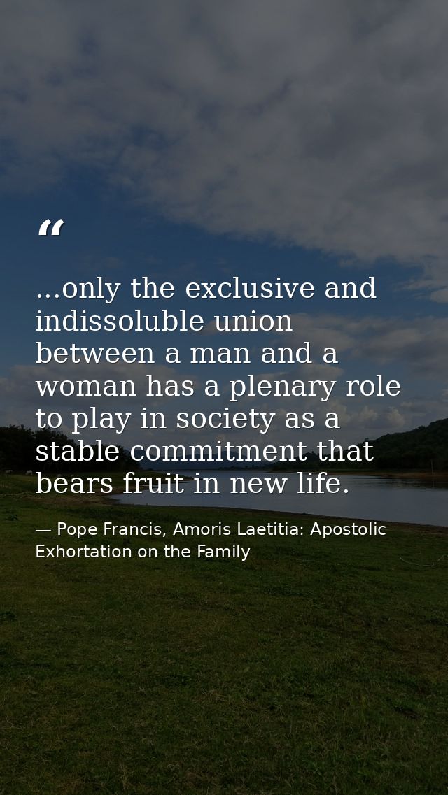 ...only the exclusive and indissoluble union between a man and a woman has a plenary role to play in society as a stable — Pope Francis, Amoris Laetitia: Apostolic Exhortation on the Family