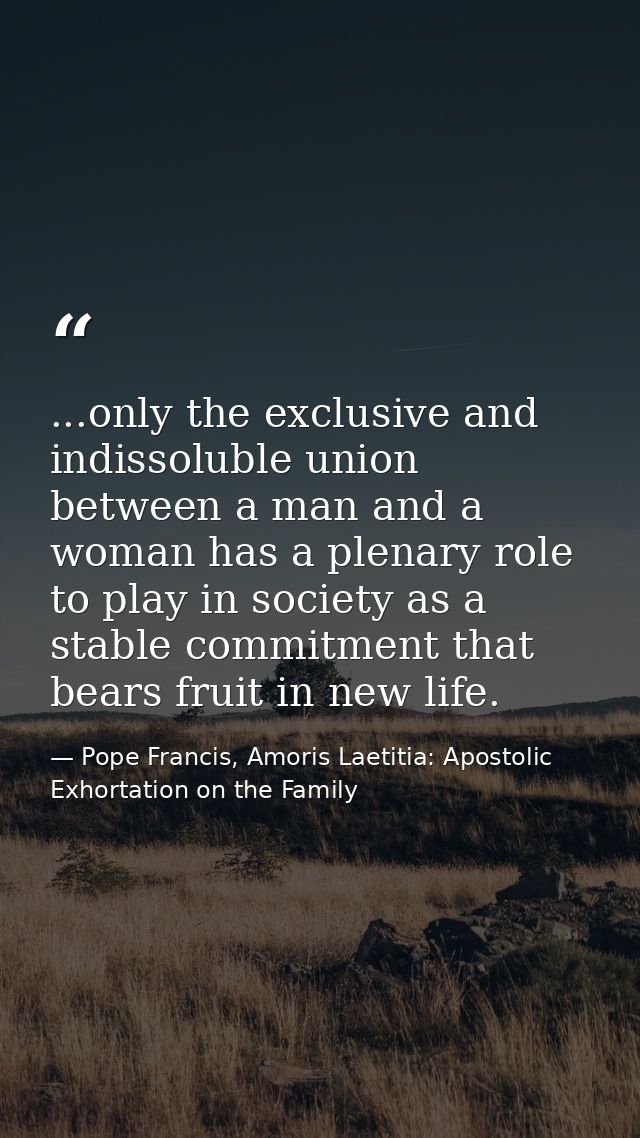 ...only the exclusive and indissoluble union between a man and a woman has a plenary role to play in society as a stable — Pope Francis, Amoris Laetitia: Apostolic Exhortation on the Family