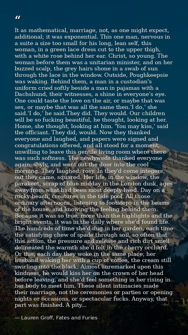 It as mathematical, marriage, not, as one might expect, additional; it was exponential. This one man, nervous in a suite — Lauren Groff, Fates and Furies