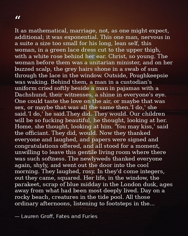 It as mathematical, marriage, not, as one might expect, additional; it was exponential. This one man, nervous in a suite — Lauren Groff, Fates and Furies