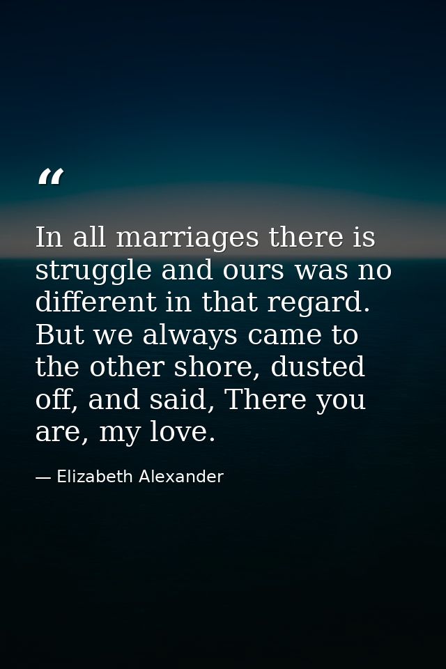 In all marriages there is struggle and ours was no different in that regard. But we always came to the other shore, dust — Elizabeth Alexander