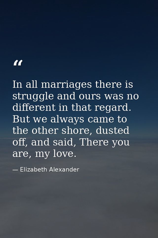 In all marriages there is struggle and ours was no different in that regard. But we always came to the other shore, dust — Elizabeth Alexander