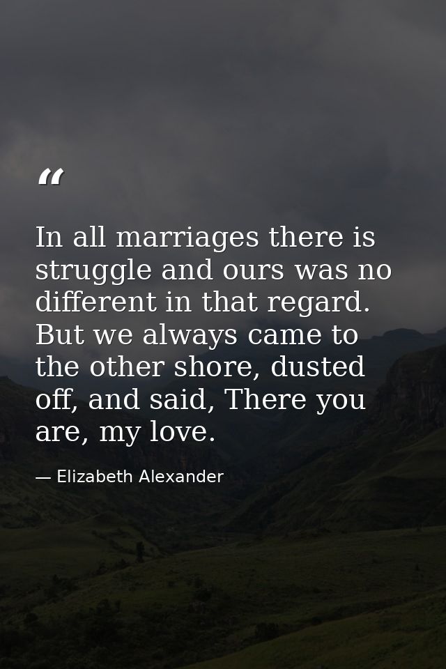In all marriages there is struggle and ours was no different in that regard. But we always came to the other shore, dust — Elizabeth Alexander