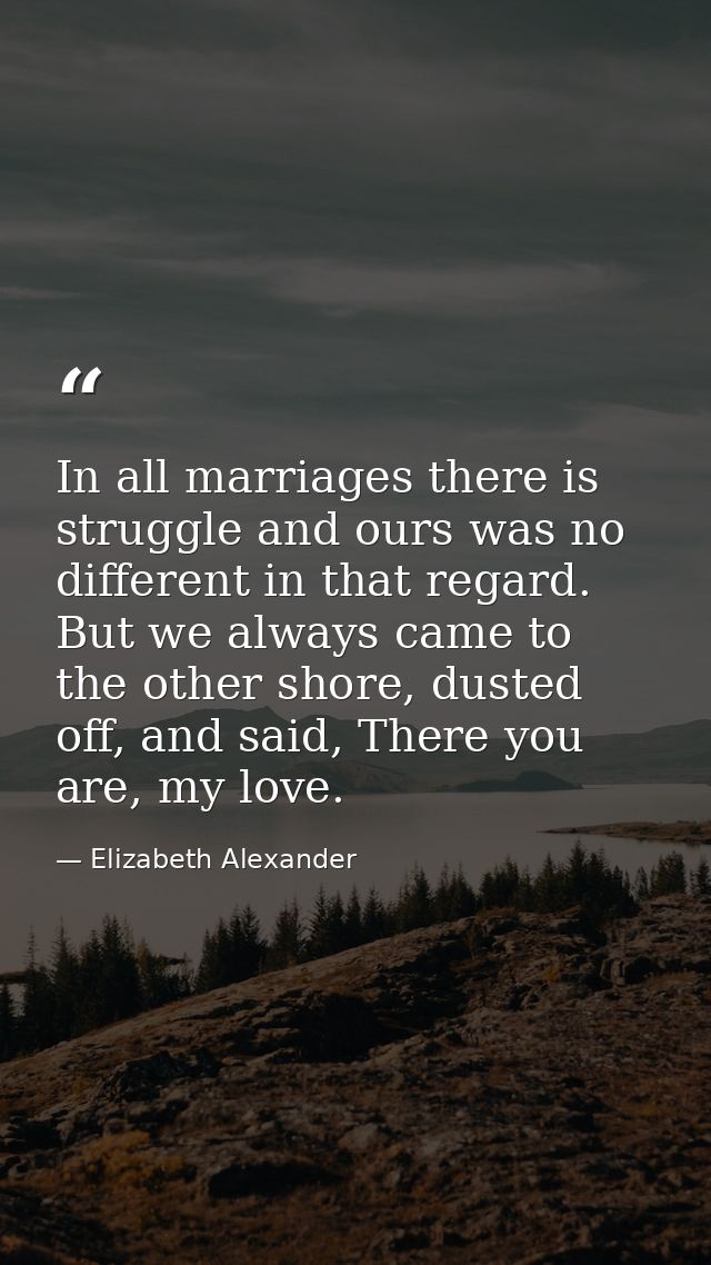 In all marriages there is struggle and ours was no different in that regard. But we always came to the other shore, dust — Elizabeth Alexander