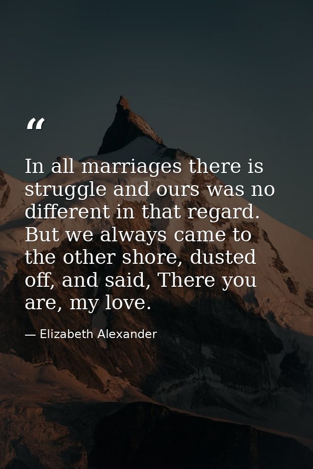 In all marriages there is struggle and ours was no different in that regard. But we always came to the other shore, dust — Elizabeth Alexander